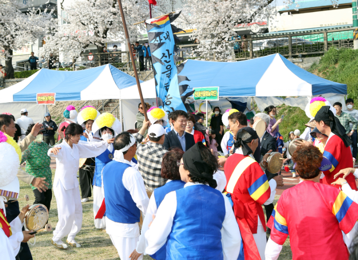 전북 정읍시 벚꽃축제. 정읍시 제공