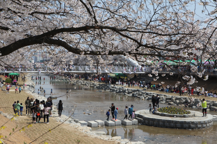 충남 금산군에서 4월 한 달 동안 봄꽃 축제가 열린다. 충남 금산군 제공