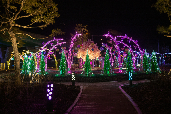 괴강불빛공원. 괴산군 제공