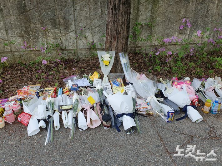 신석우 기자