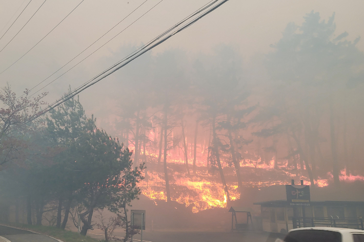11일 오전 8시 30분쯤 강원 강릉시 난곡동에서 산불이 발생해 강한 바람을 타고 확산하고 있다. 강원소방본부 제공