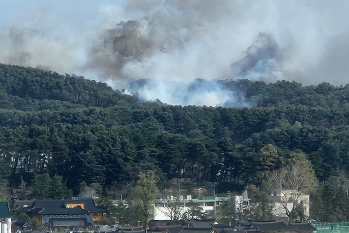 11일 오전 8시 30분쯤 강원 강릉시 난곡동에서 발생한 산불이 강풍을 타고 확산하자 산림당국이 대응 1단계를 발령했다. 강원소방본부 제공