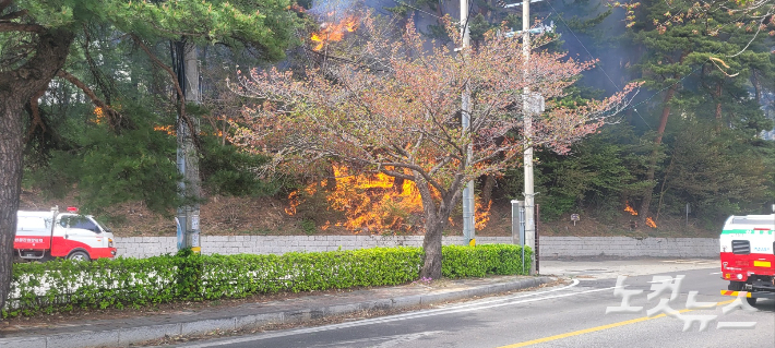 지난 11일 경포대 턱밑까지 확산한 산불. 전영래 기자