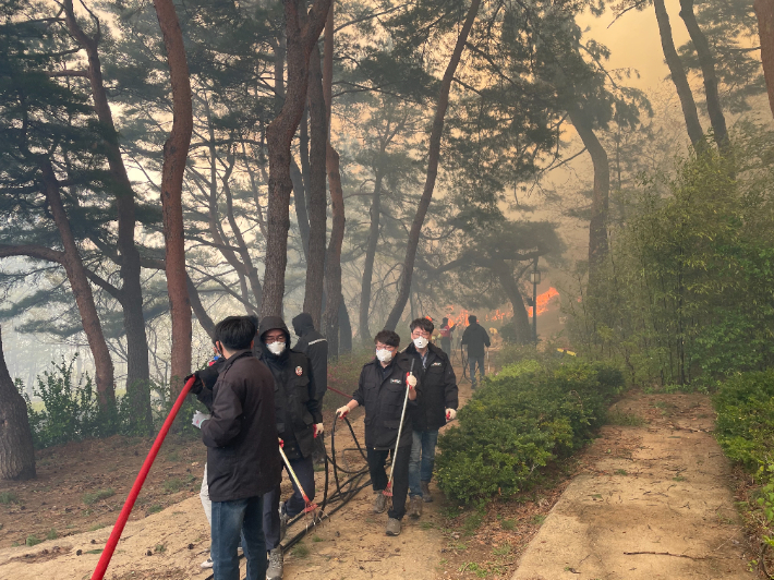 지난 11일 산불 현장에 투입된 공무원들. 강릉시 제공