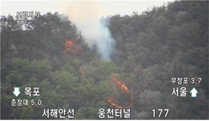 보령 산불 현장. 산림청 제공