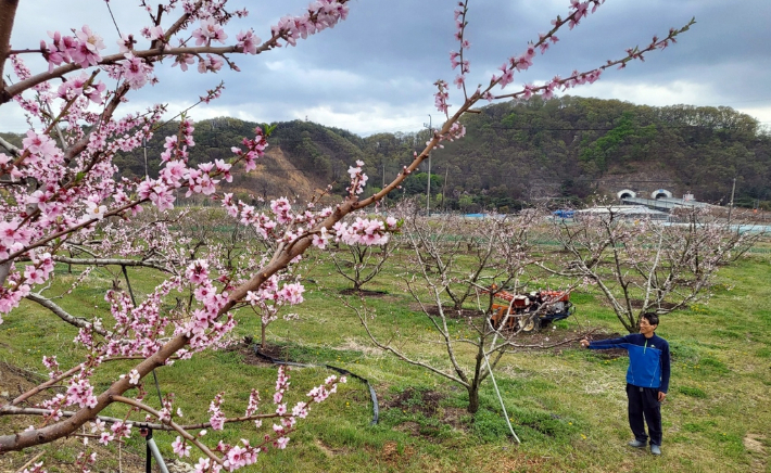 연합뉴스