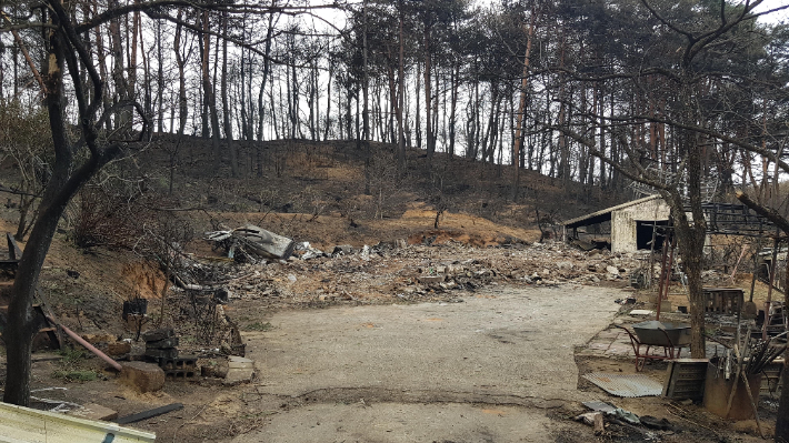 산불로 전소된 남경진 산불재난특수진화대원의 주택. 동부지방산림청 제공