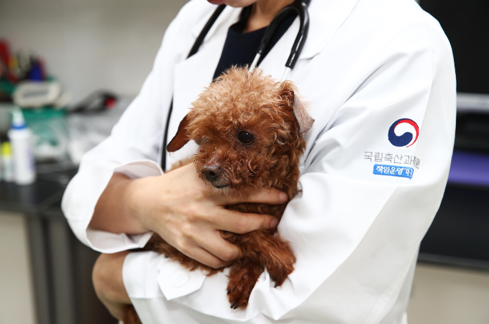 반려견. 연합뉴스