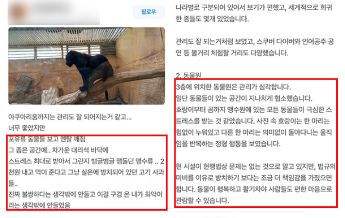 대전 실내동물원 관람객들의 후기. 네이버플레이스 캡처