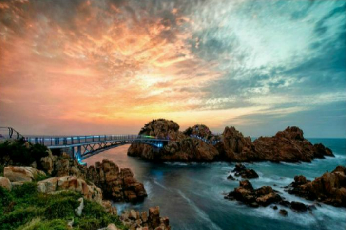 울산노컷