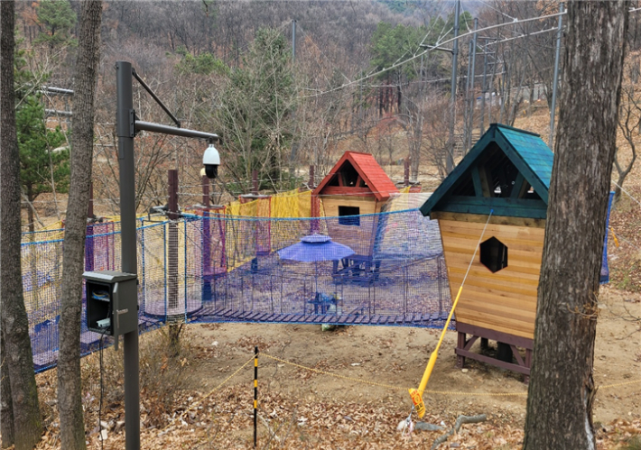 숲모험레포츠 시설. 천안시 제공