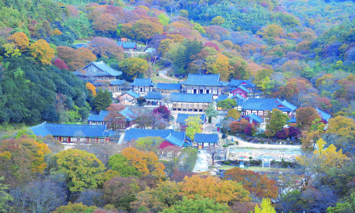 화엄사 전경. 전라남도 제공 
