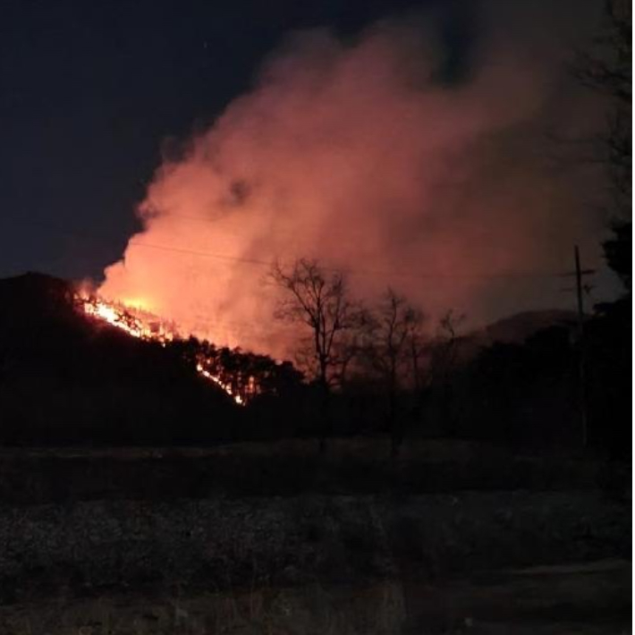 지난 2월 울진군 기성면에서 발생한 산불 모습. 경북소방본부 제공 