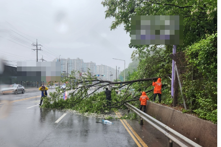 창원소방본부 제공