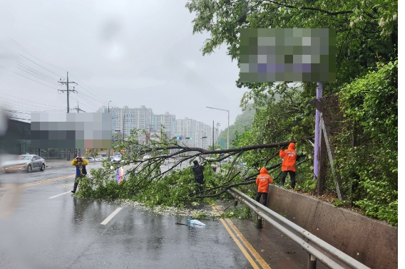 창원소방본부 제공