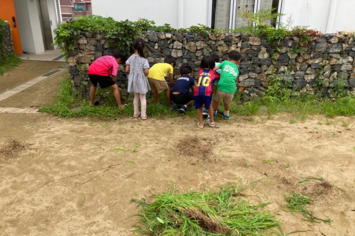 14가구가 함께 모여 사는 부산 남구 돌봄 공동체 '일오집' 아이들이 너른 마당에 풀뽑기를 하면 놀고있는 모습. 일오집 제공
