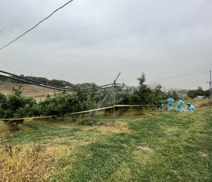 과수화상병 발생 현장. 당진시 제공