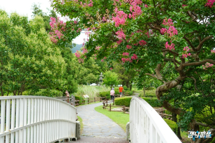 경남도청 정원길. 경상남도블로그 갈무리