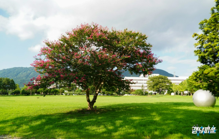 도청 잔디광장. 경상남도블로그 갈무리
