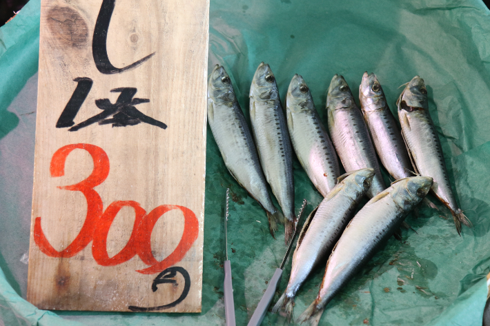 일본 후쿠시마현 이와키시 오나하마항 수산물 시장에서 24일 판매 중인 생선. 연합뉴스