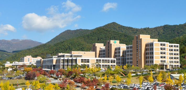 화순전남대병원. 화순전남대병원 제공