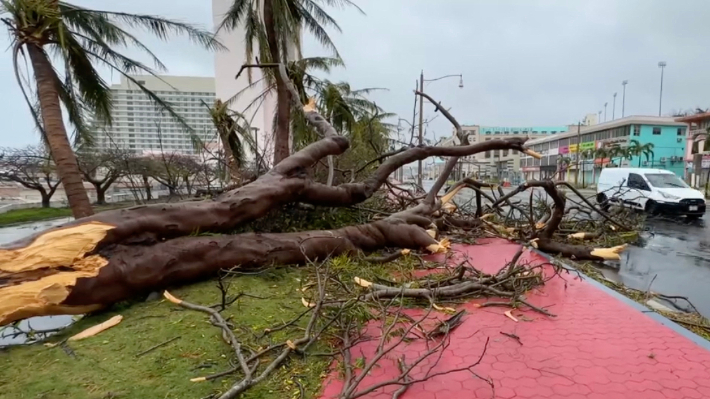 '슈퍼 태풍' 마와르가 괌을 강타한 25일(현지시간) 나무들이 강풍에 꺾여 거리에 쓰러져 있다. 연합뉴스