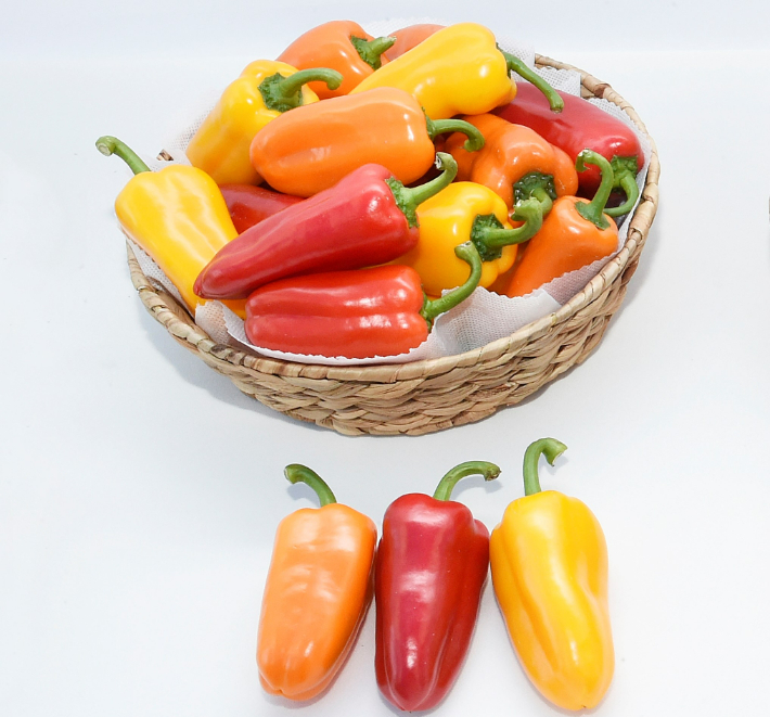 경남농업기술원이 개발한 파프리카 '뉴다온'. 경남도청 제공