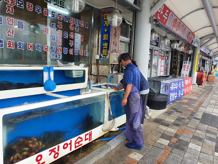 동해 묵호항 인근 횟집. 동해시 제공