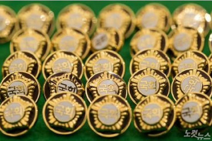 국회의원 금배지