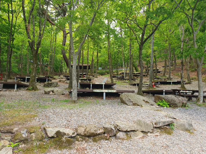 토함산자연휴양림 야영장. 경주시시설관리공단 제공