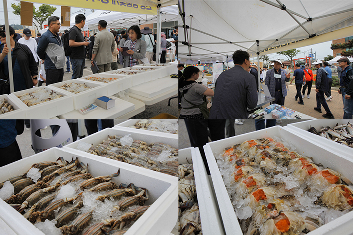 제1회 '연평 꽃게 체험 걷기 축제'에서의 판매 부스와 인천 어촌특화지원센터 홍보 부스 모습. 노컷TV 김재두 PD