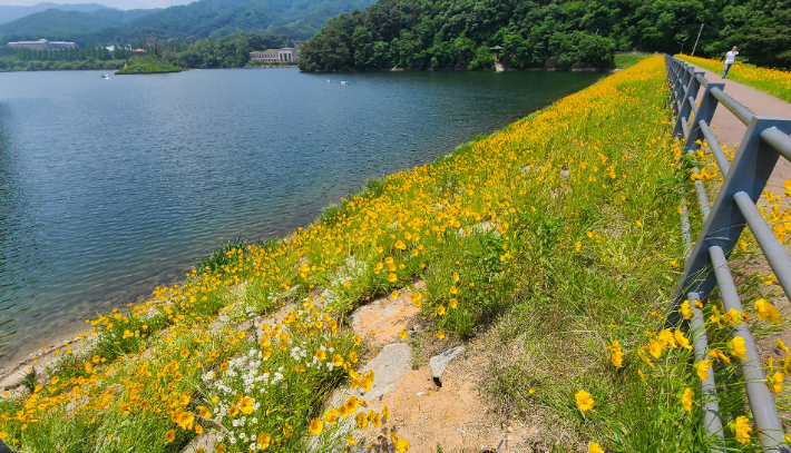 위 사진은 기사와 관련이 없습니다. 연합뉴스  