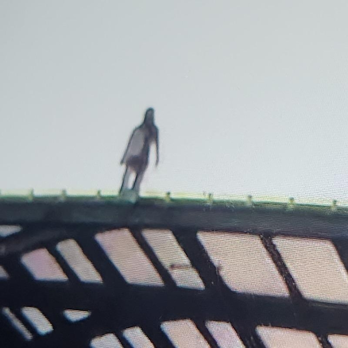 온라인 커뮤니티 캡처