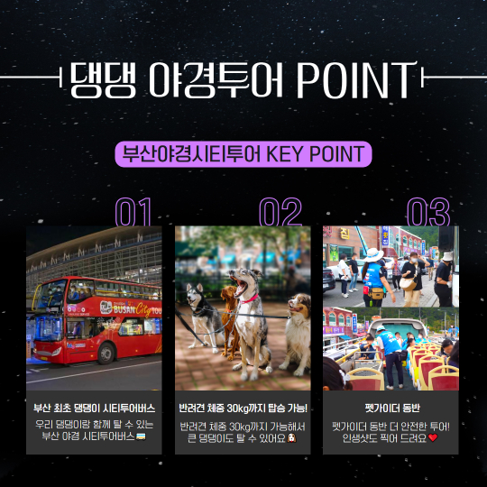 부산관광공사 제공