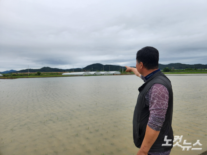 광주 남구 대지동 인근 논에 물이 가득 찬 모습. 박성은 기자