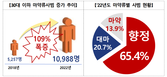 마약류사범 관련 이미지. 대검찰청 제공