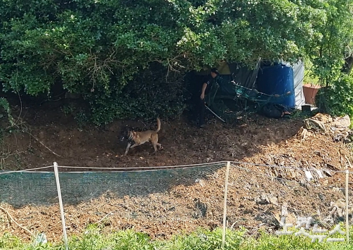 5일 오전 영아가 유기된 것으로 추정되는 부산 기장군 한 야산에서 경찰 수색견이 현장에 투입된 모습. 박진홍 기자