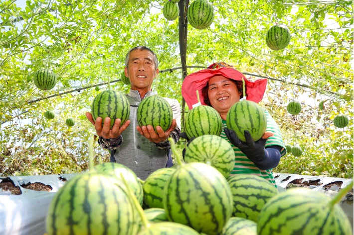 산청군청 제공