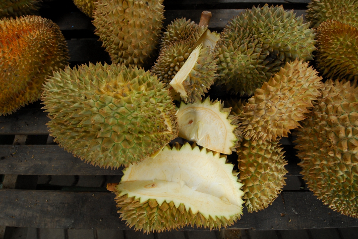 스마트이미지 제공