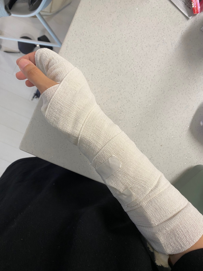 서울교사노조 제공