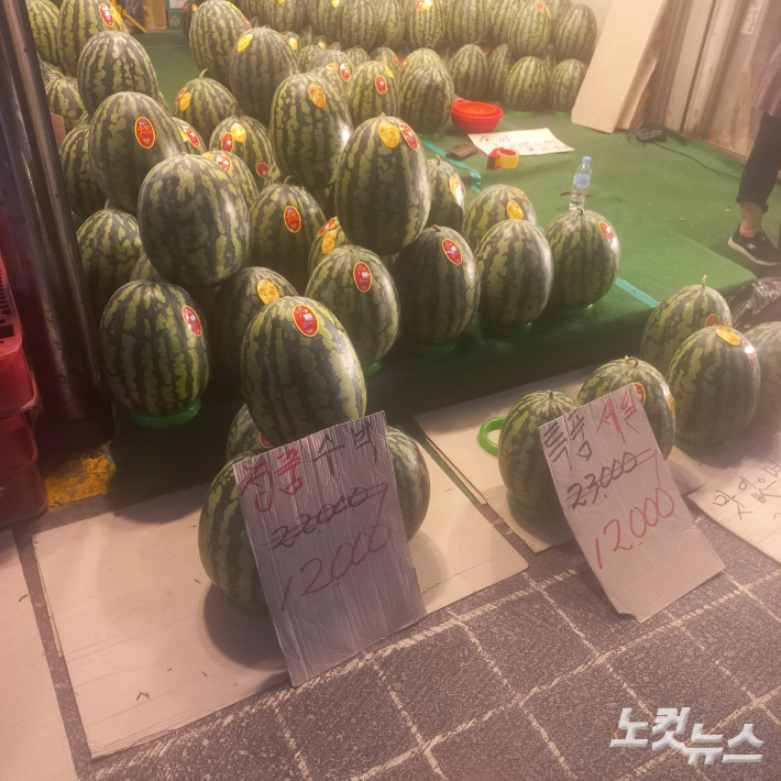 청량리청과물시장에 진열된 수박. 박영규 인턴 기자