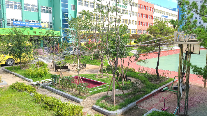 덕희학교에 조성된 학교숲. 대구시교육청 제공