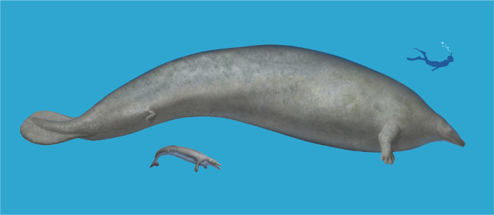 슈튜트가르트 자연사박물관 제공