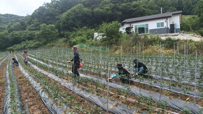 괴산군 제공