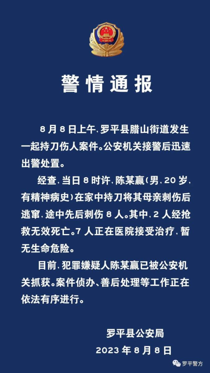 뤄핑현 공안국이 공개한 사건 경위. 뤄핑현 공안국 위쳇계정 캡처