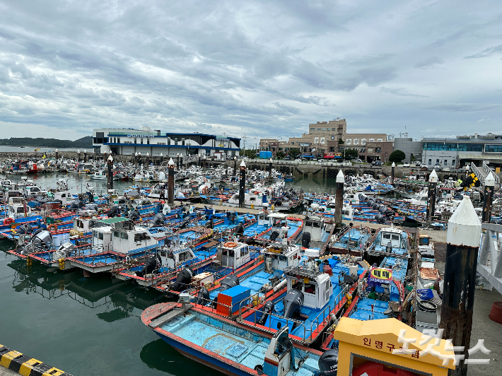 제6호 태풍 카눈이 북상 중인 가운데 9일 오후 전남 목포 북항에 많은 어선들이 피항해 있다. 김한영 기자 