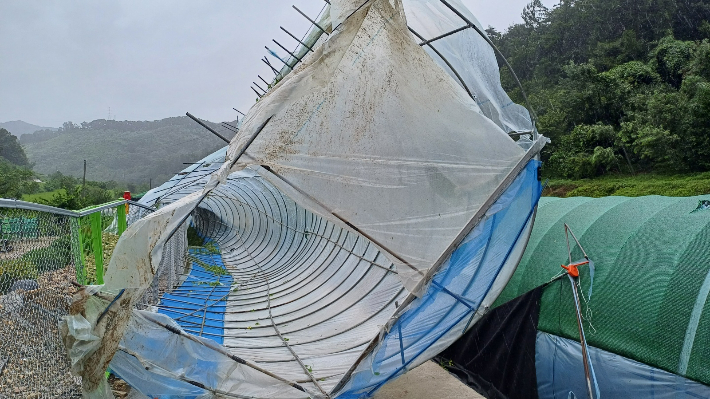 충북소방본부 제공