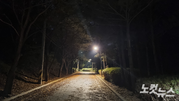 17일 오후 8시 30분쯤 어둠이 짙게 깔린 서울 관악구 신림동에 있는 한 공원. 양형욱 기자 
