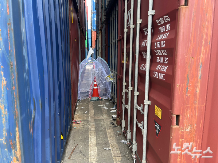 붉은불개미 50여마리가 발견된 부산항 자성대부두 야적장. 독자 제공 