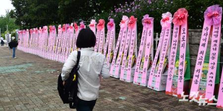 국회의사당 앞 이재명 대표 취임 1주년 축하 화환